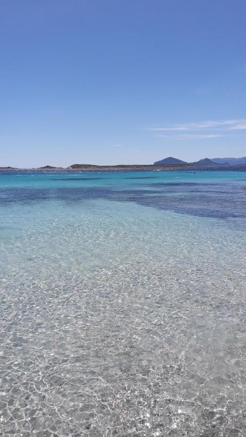 شقة Palau Centralissimo المظهر الخارجي الصورة